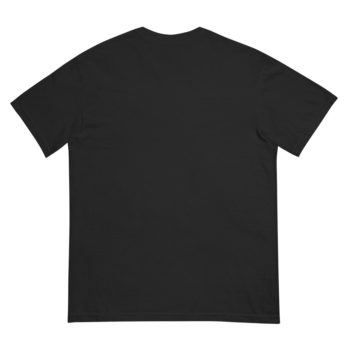 HB Striker Men’s T-Shirt Back View – Hard Bodii